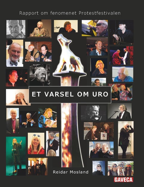 Rapport om fenomenet Protestfestivalen - et varsel om uro