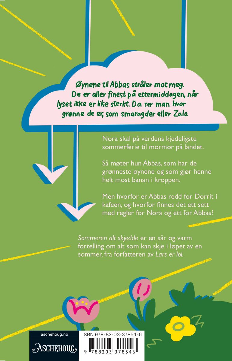 Sommeren alt skjedde