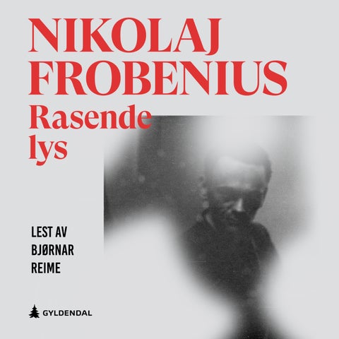 Rasende lys - en roman om Henry Rinnans framgang