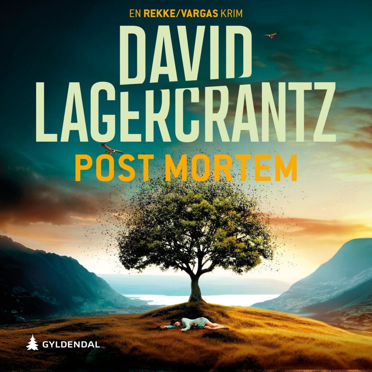 Post mortem