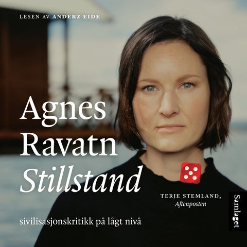 Stillstand - sivilisasjonskritikk på lågt nivå