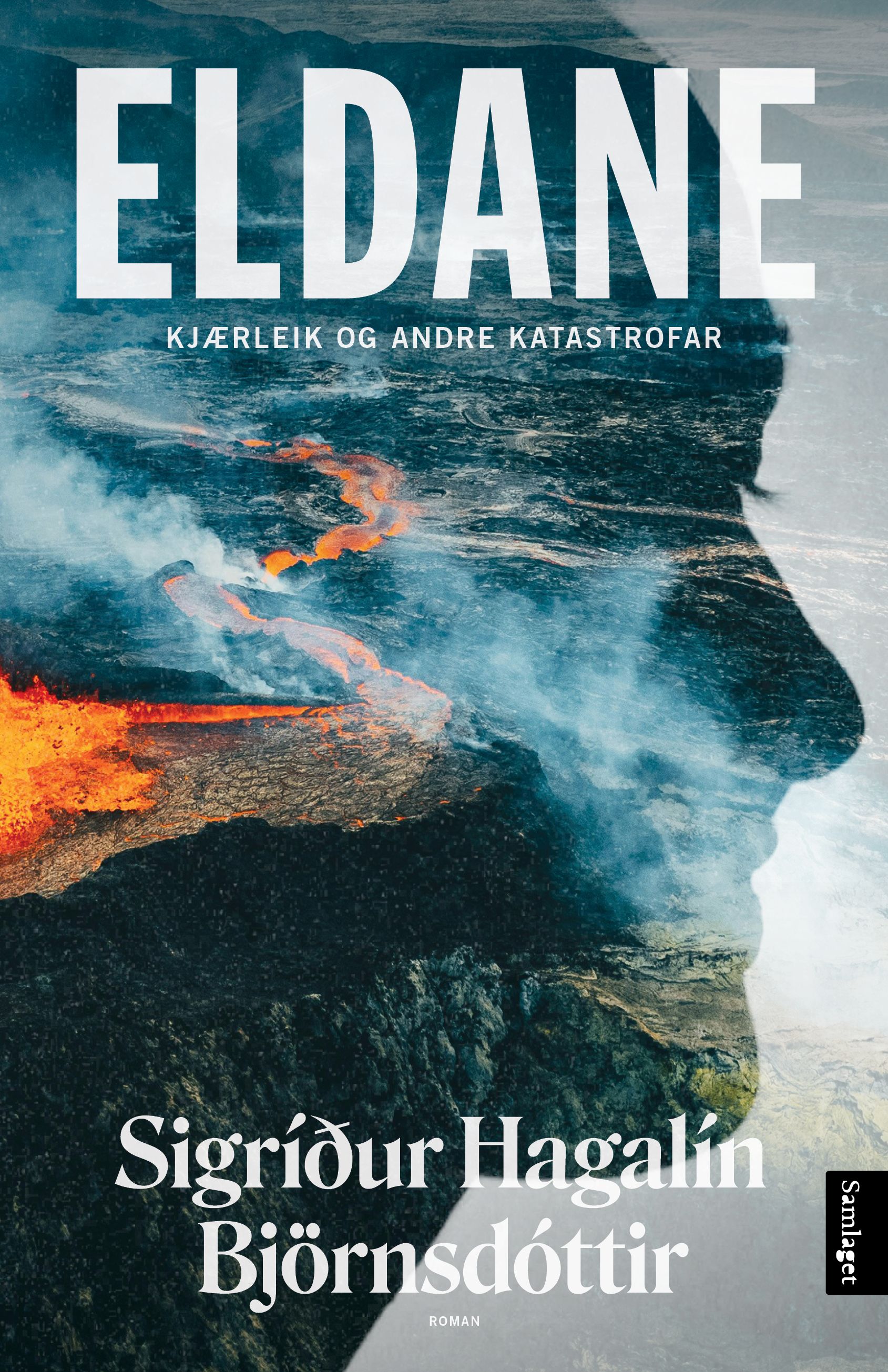 Eldane - kjærleik og andre katastrofar : roman