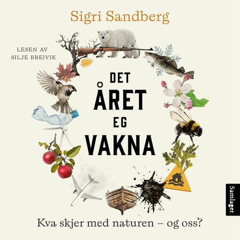 Det året eg vakna