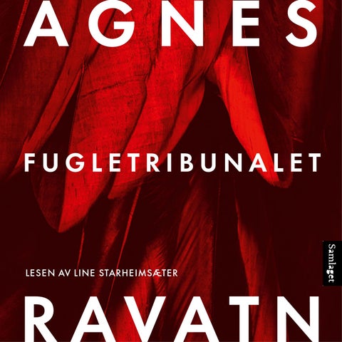 Fugletribunalet - roman