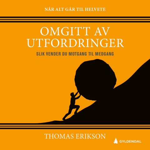 Omgitt av utfordringer - slik vender du motgang til medgang