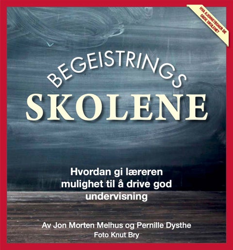 Begeistringsskolene! - slik lykkes rektor og lærere på 11 norske skoler