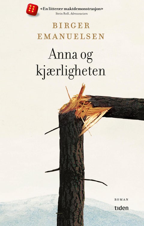 Anna og kjærligheten - roman