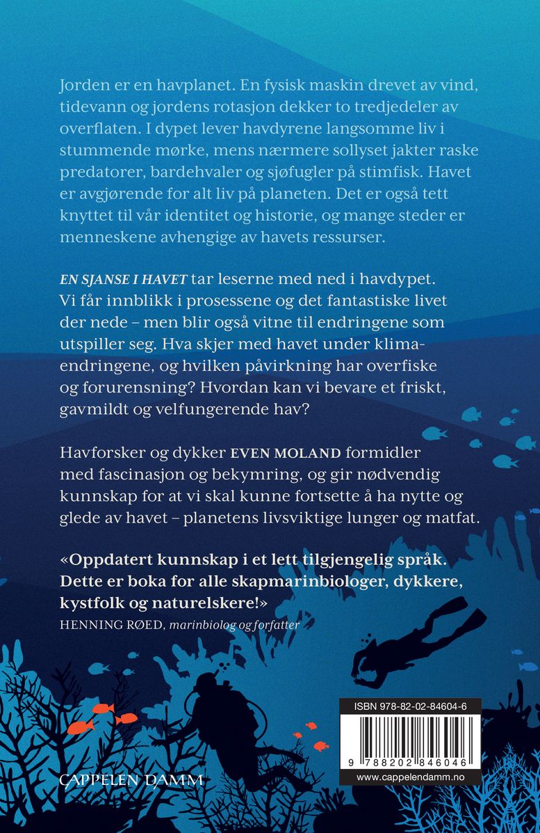 En sjanse i havet