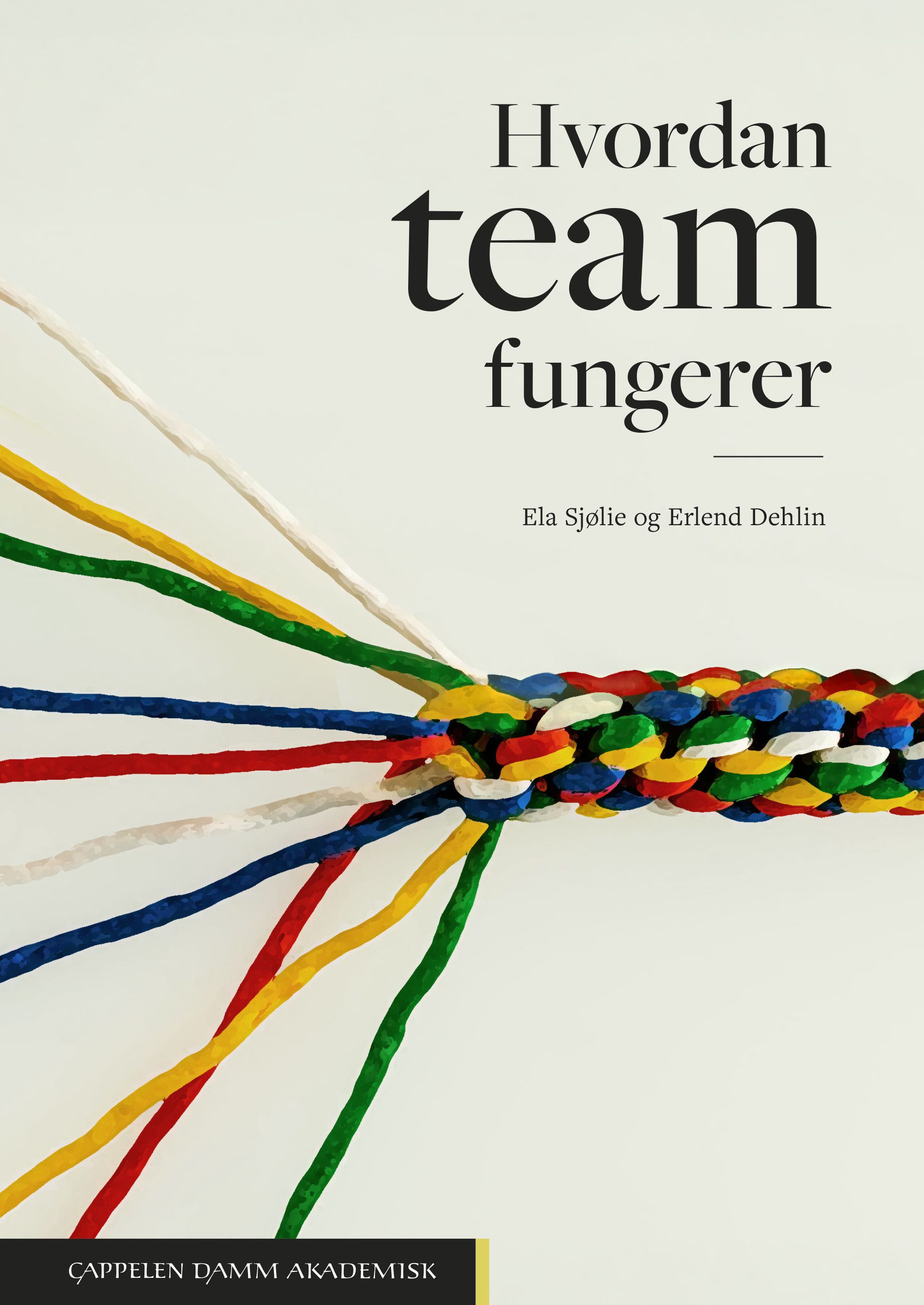 Hvordan team fungerer