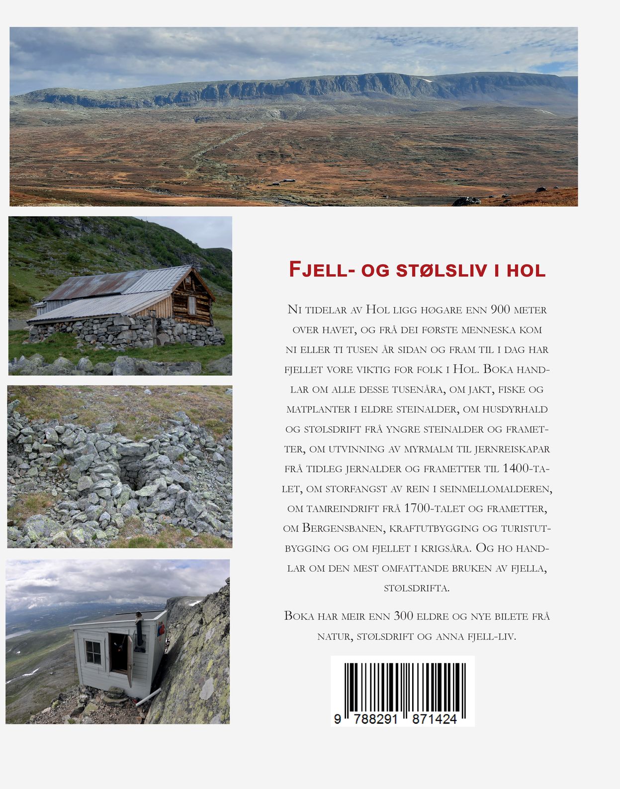 Fjell- og stølsliv i Hol
