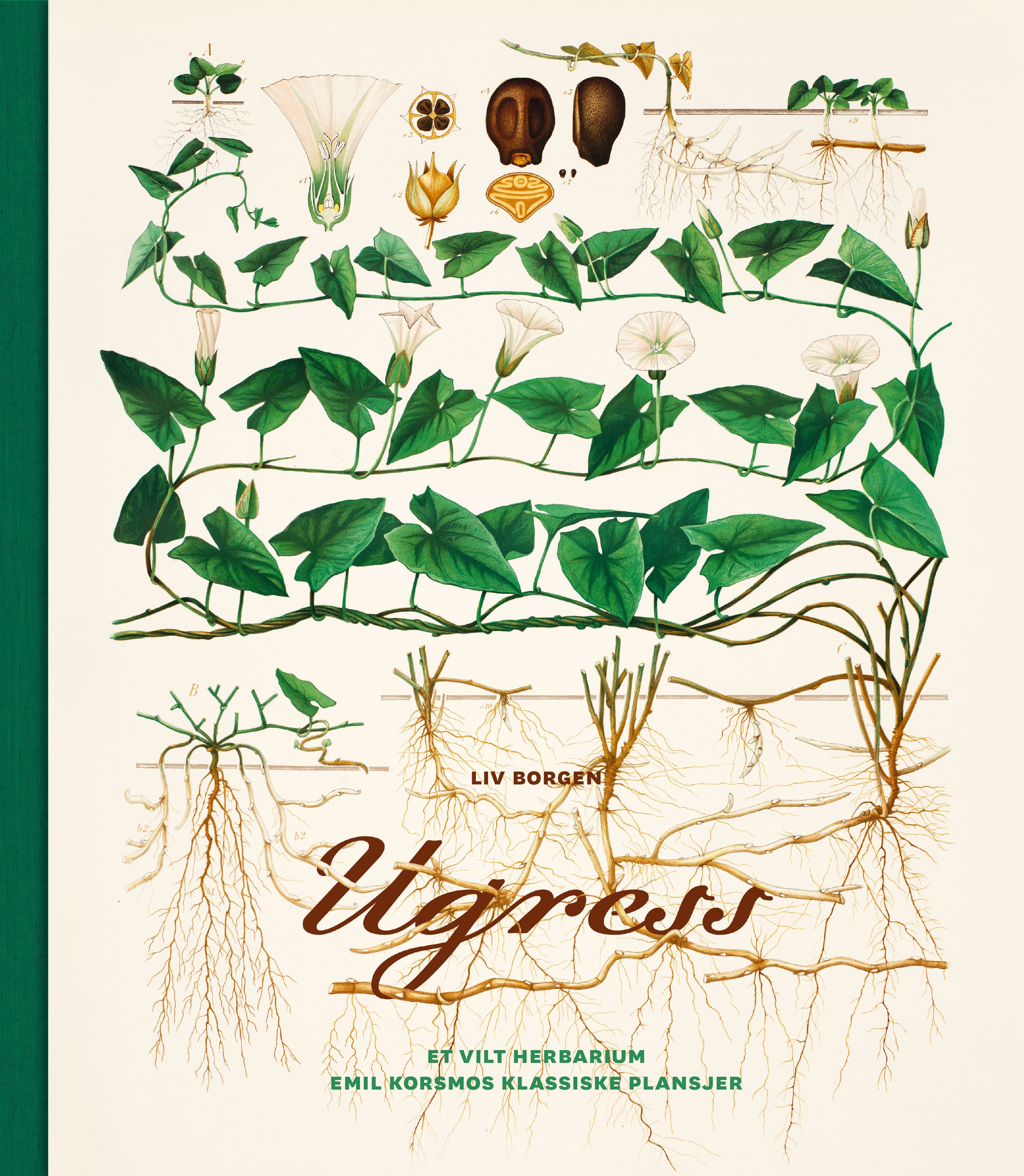 Ugress - et vilt herbarium : Emil Korsmos klassiske plansjer