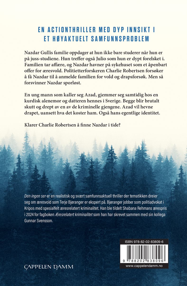 Den ingen ser