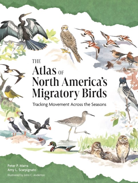 The Atlas of North America’s Migratory Birds - Tracking Movement Across Seasons and Continents