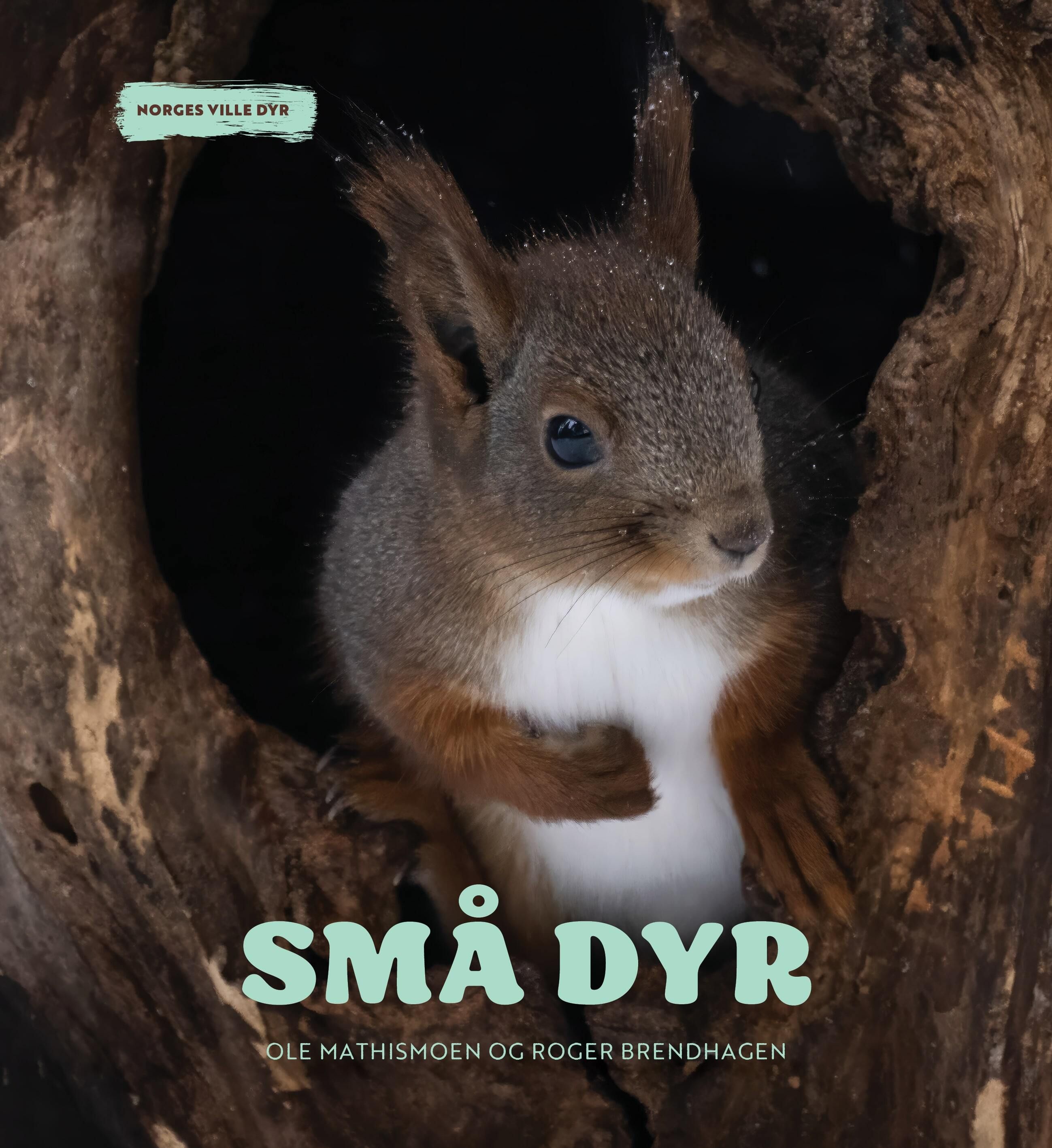 Små dyr