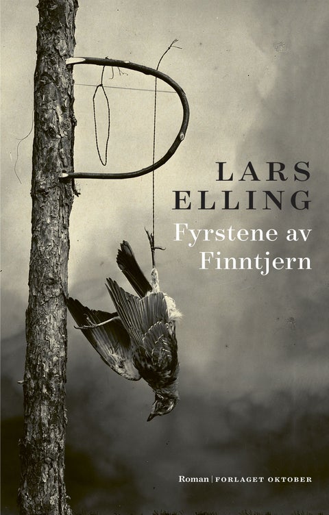 Fyrstene av Finntjern - roman