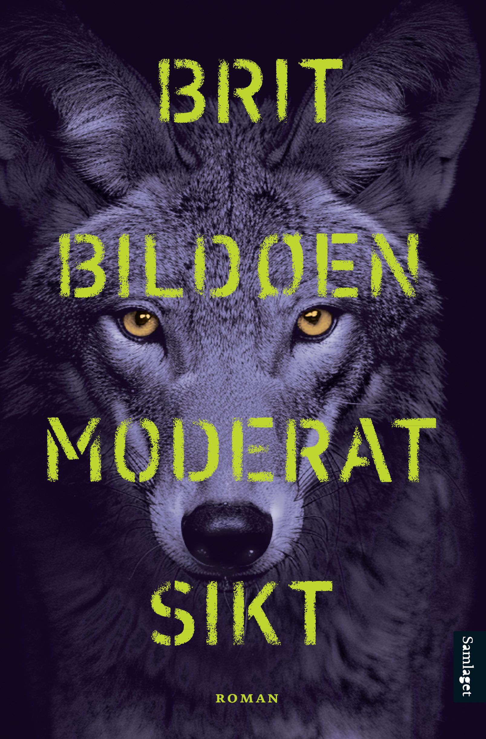 Moderat sikt - roman