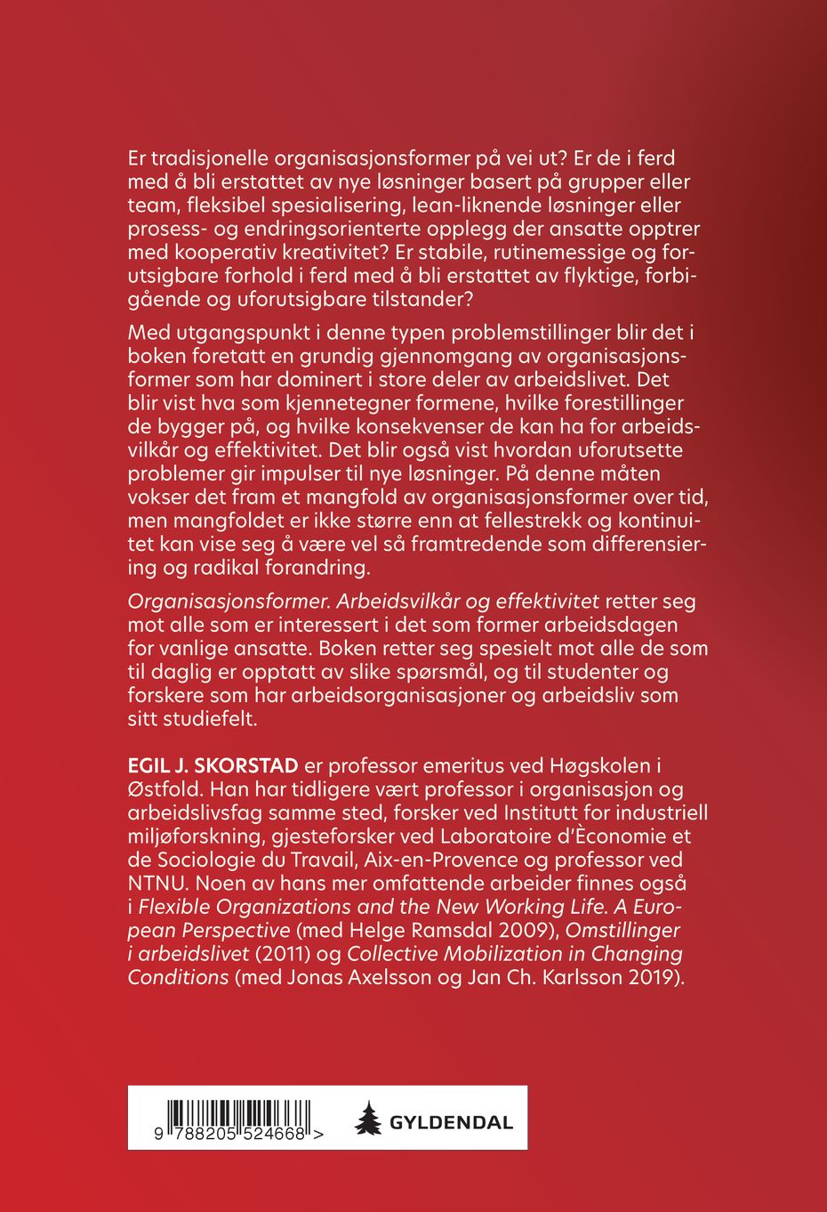 Organisasjonsformer