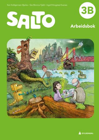 Salto 3B, 2. utg. - Arbeidsbok : norsk for barnetrinnet