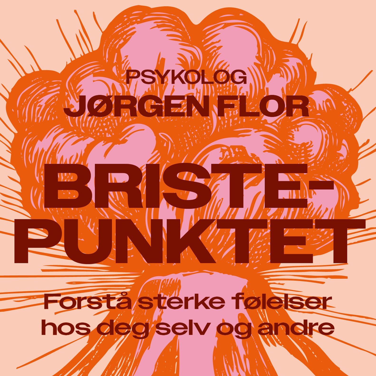 Bristepunktet - forstå sterke følelser hos deg selv og andre