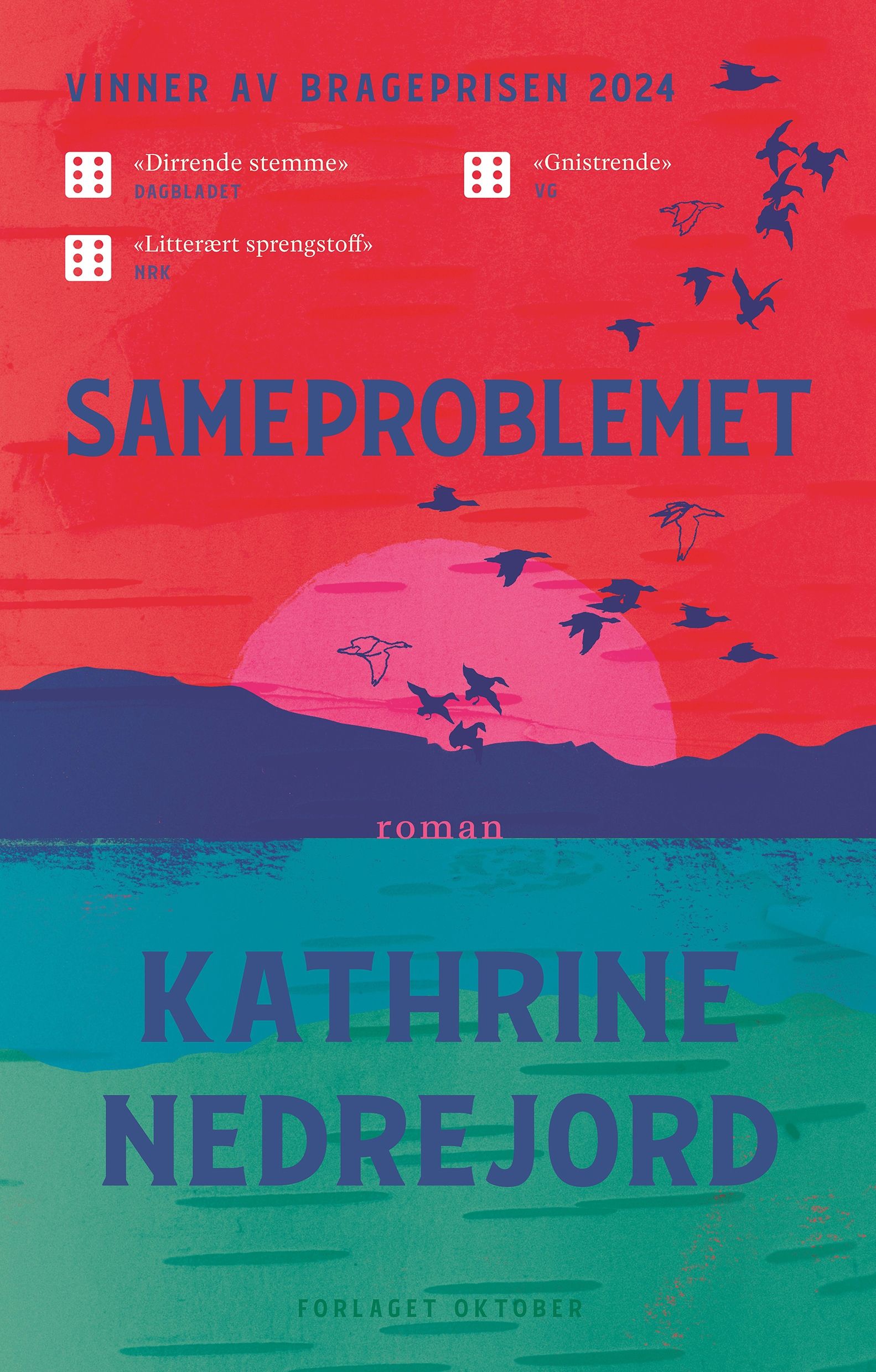 Sameproblemet - roman