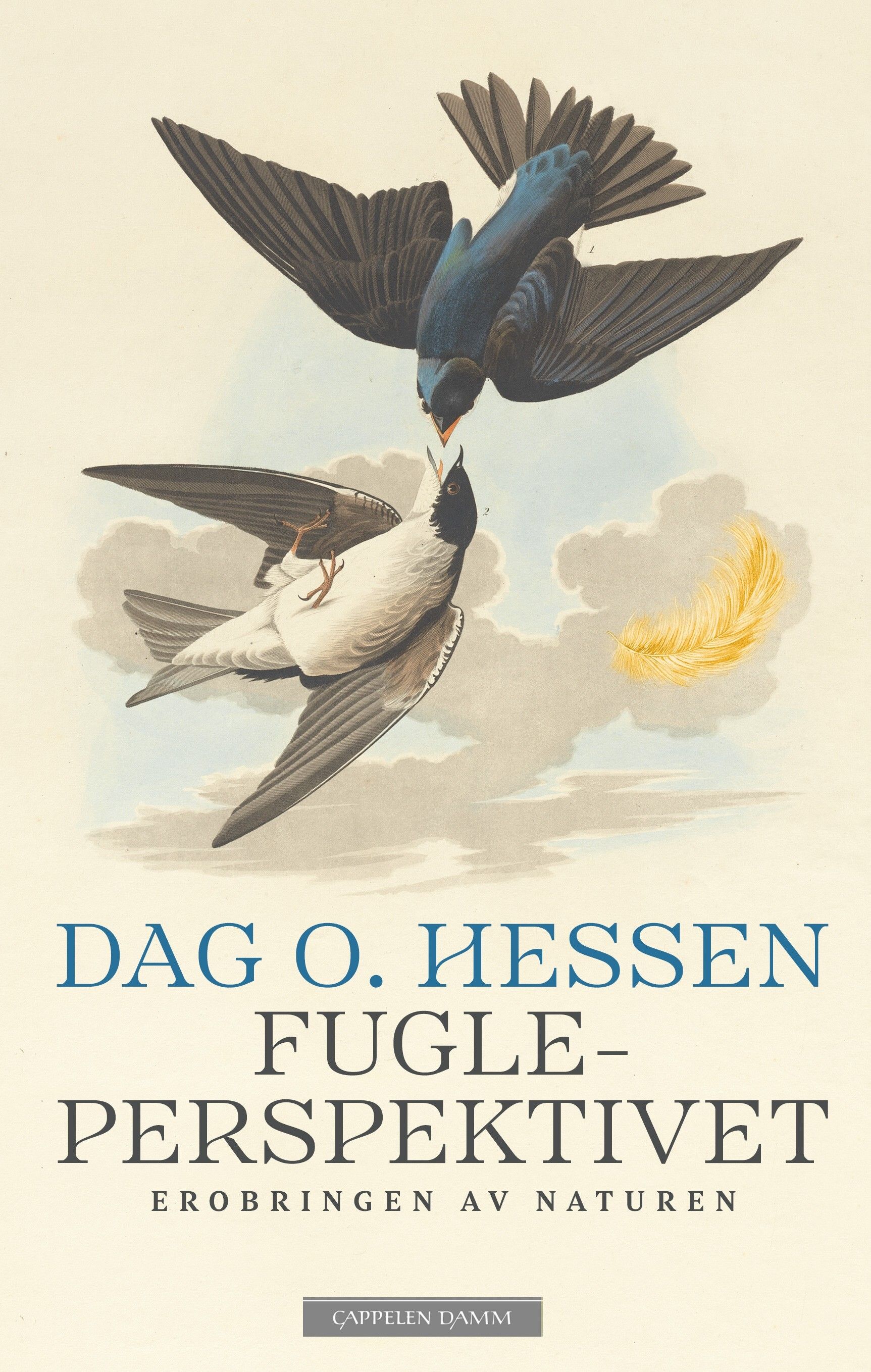 Fugleperspektivet - erobringen av naturen