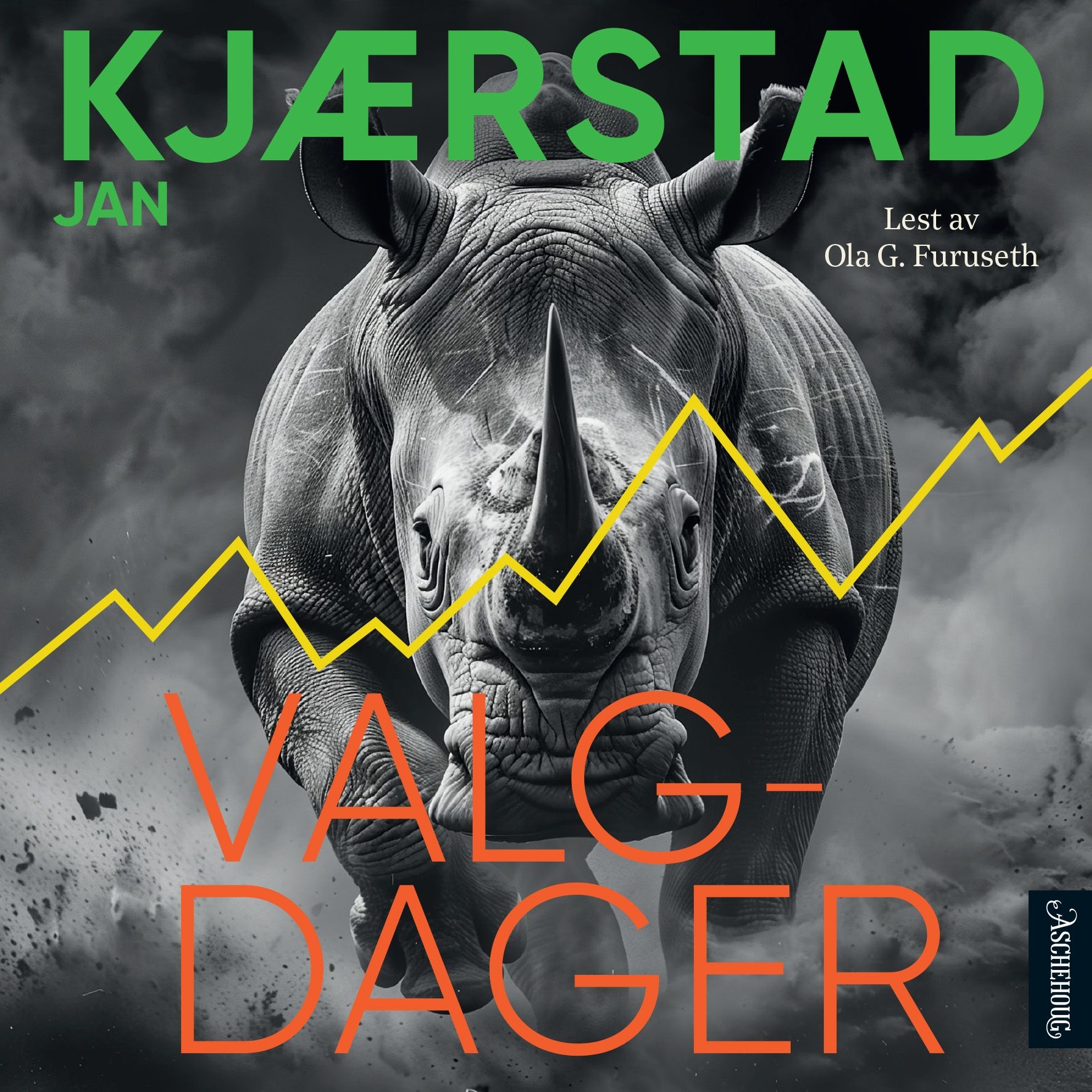 Valgdager - roman