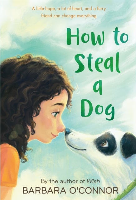 How to Steal a Dog - A Novel