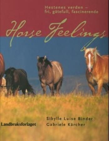 Horse feelings - hestenes verden - fri, gåtefull, fascinerende