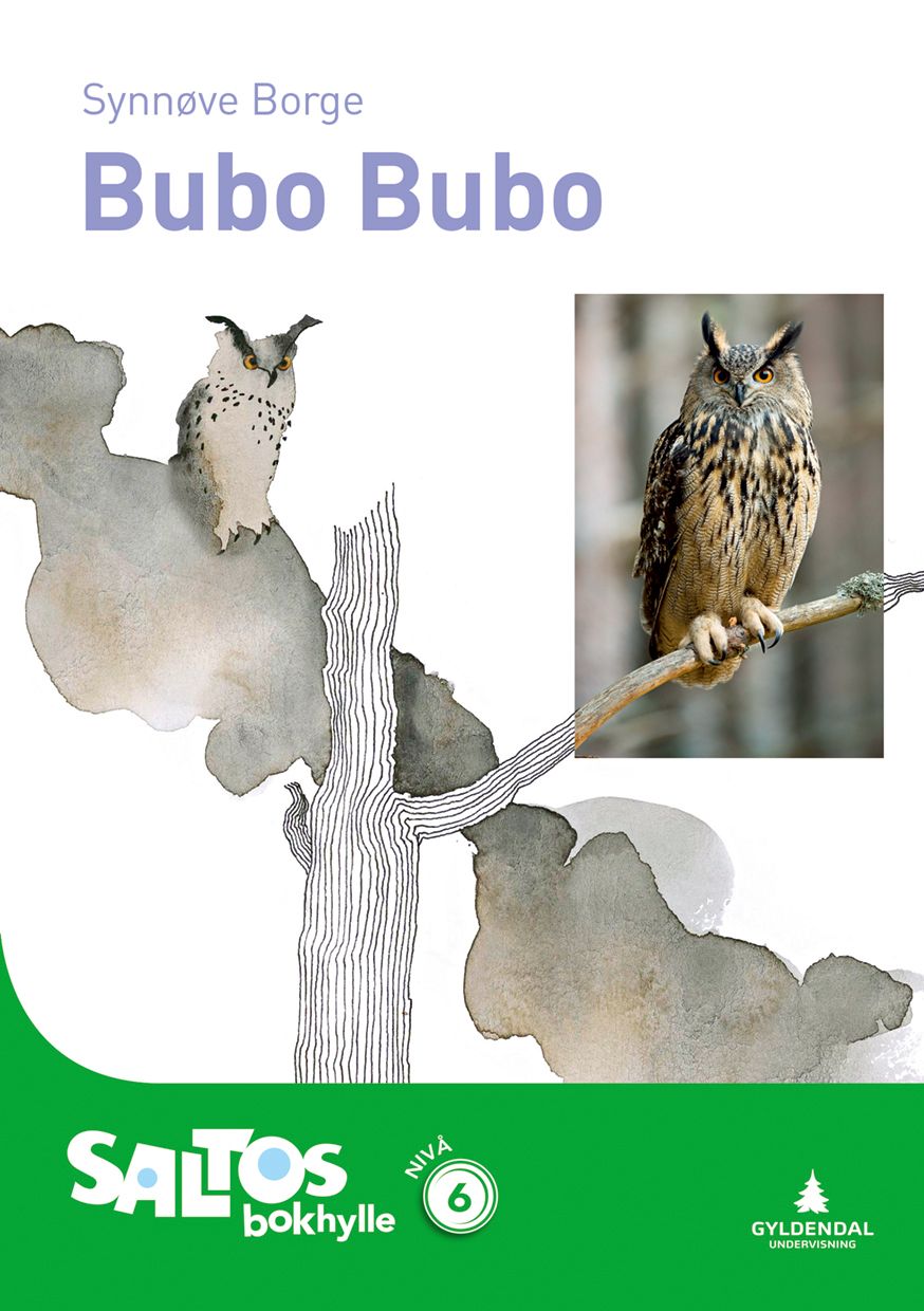 Bubo bubo - nivå 6