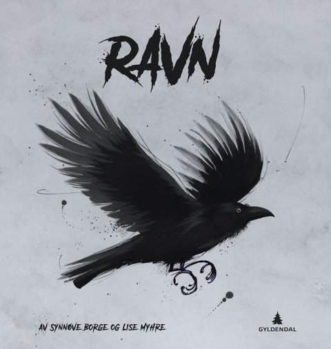 Ravn - corvus crokax