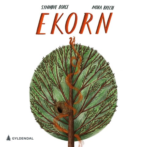 Ekorn - sciurus vulgaris
