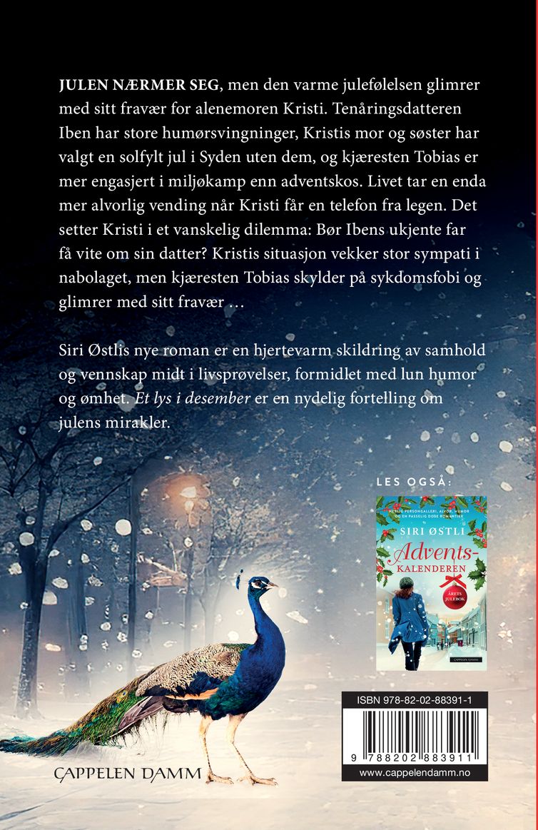 Et lys i desember