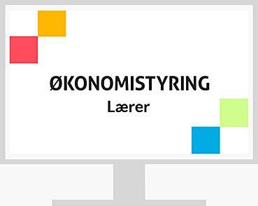Økonomistyring