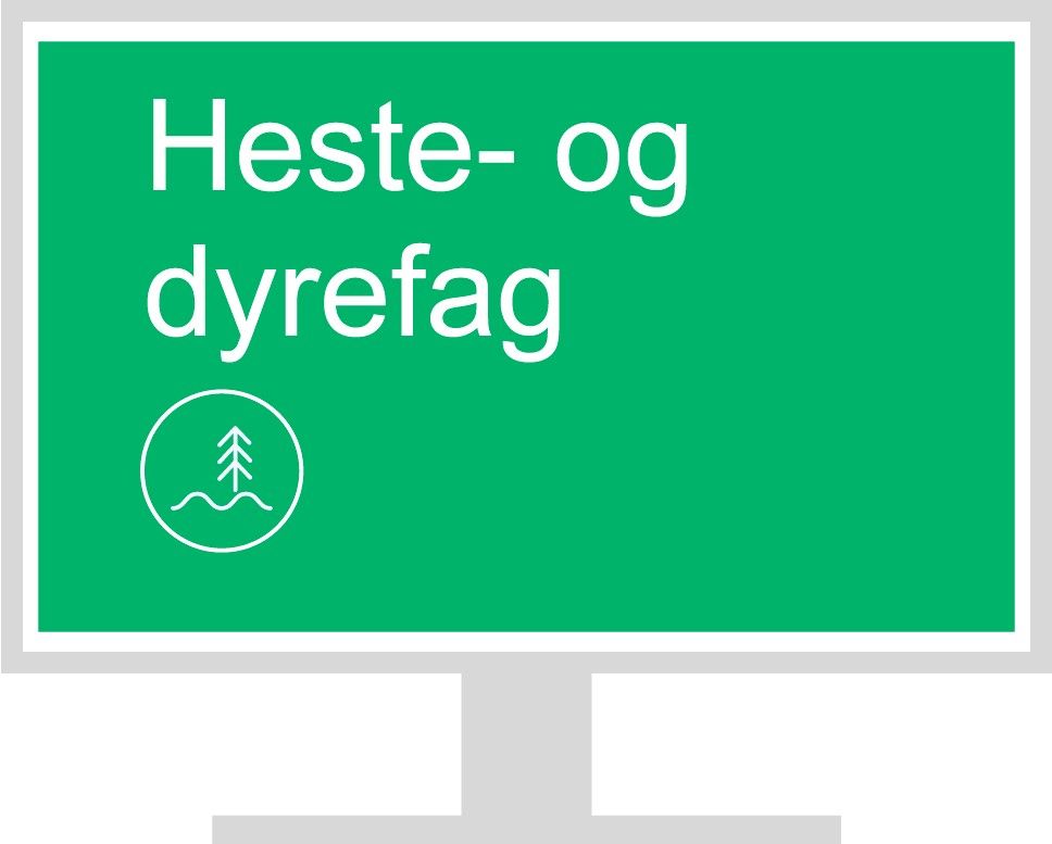 Heste- og dyrefag vg2 - læremiddel for programfag i vg2 heste- og dyrefag