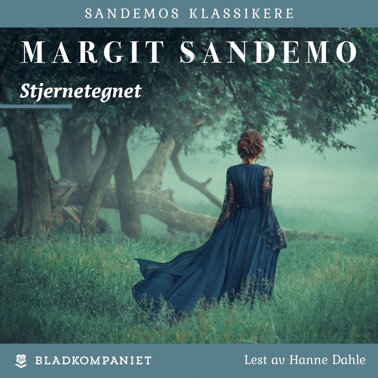 Stjernetegnet