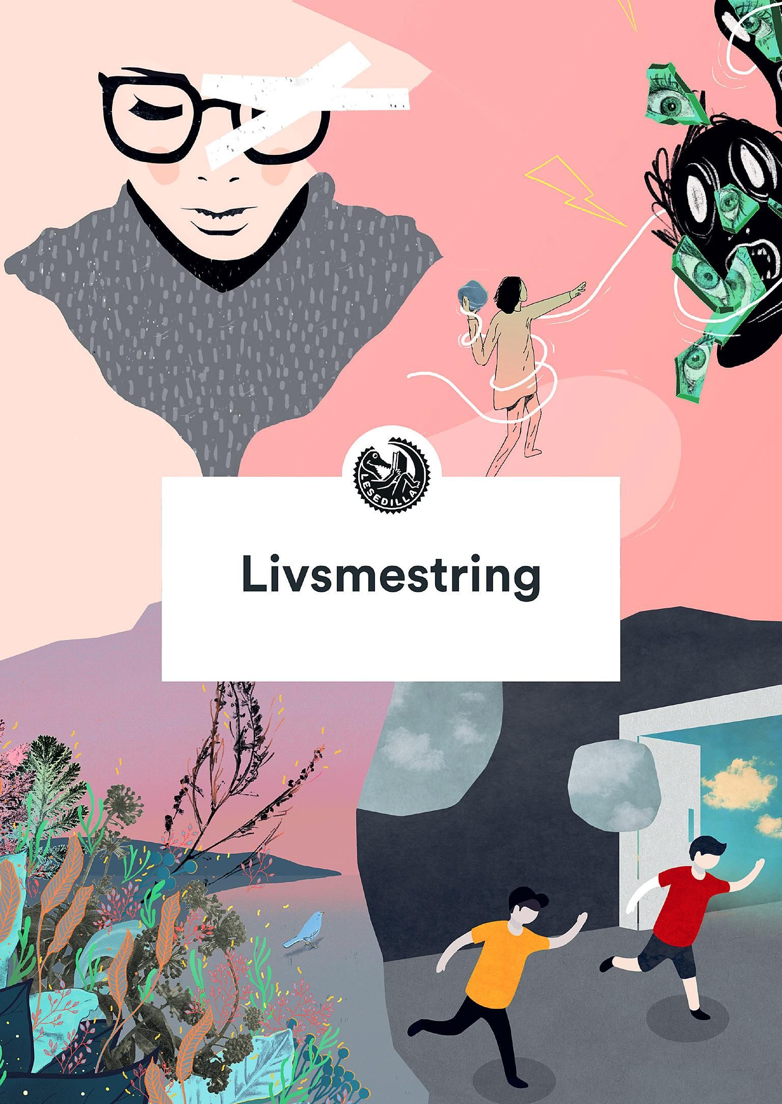 Lesedilla livsmestring - pakkeløsning
