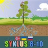 Syklus 8-10 tospråklig