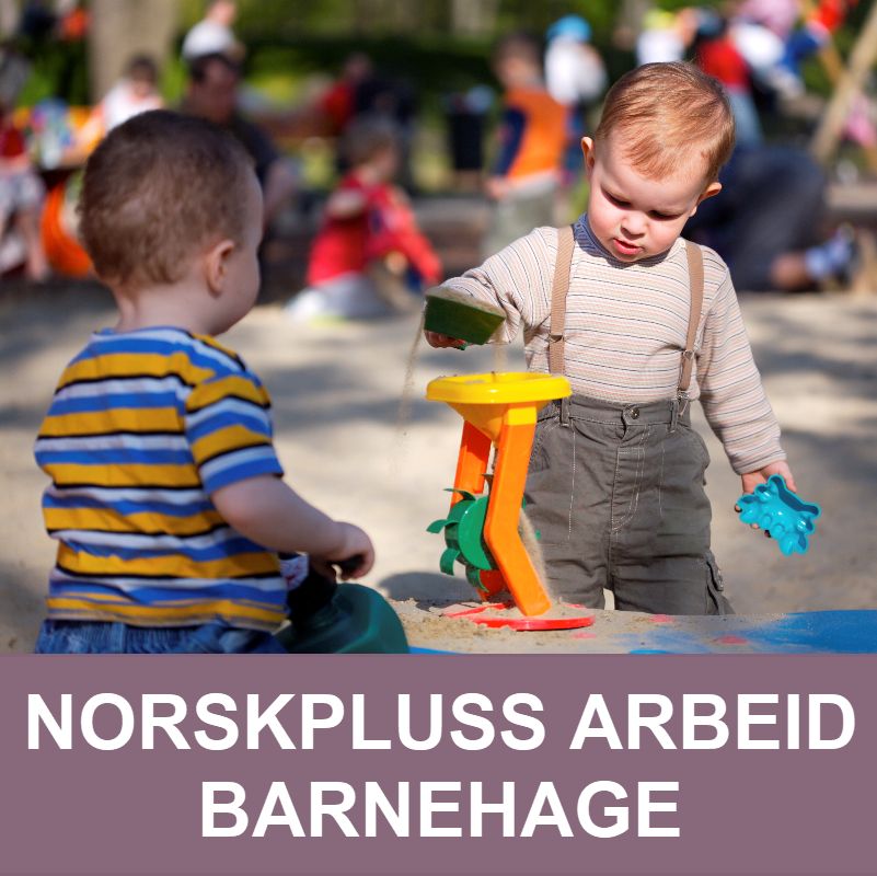 NorskPluss arbeid