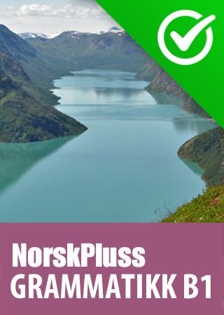NorskPluss B1