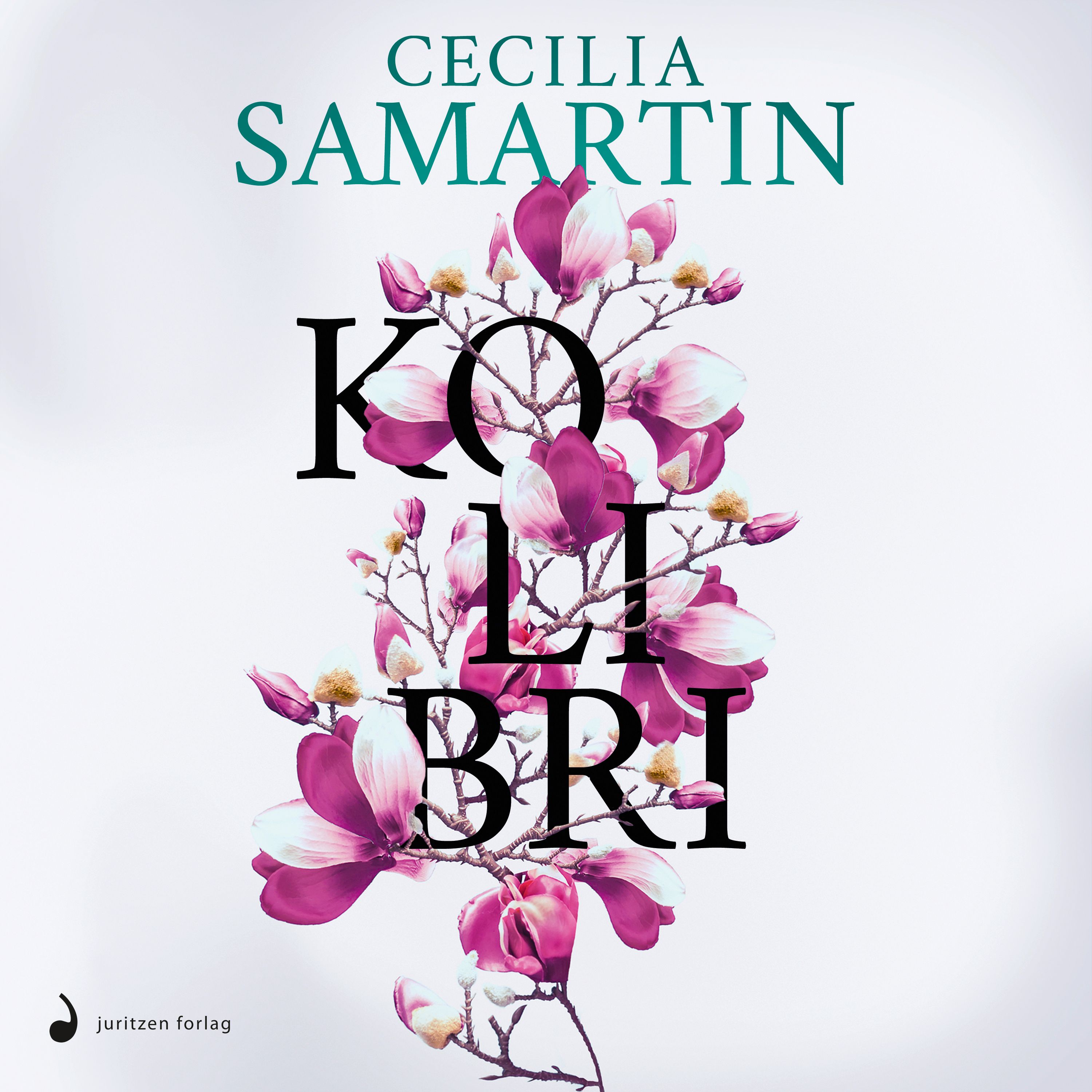 Kolibri - roman