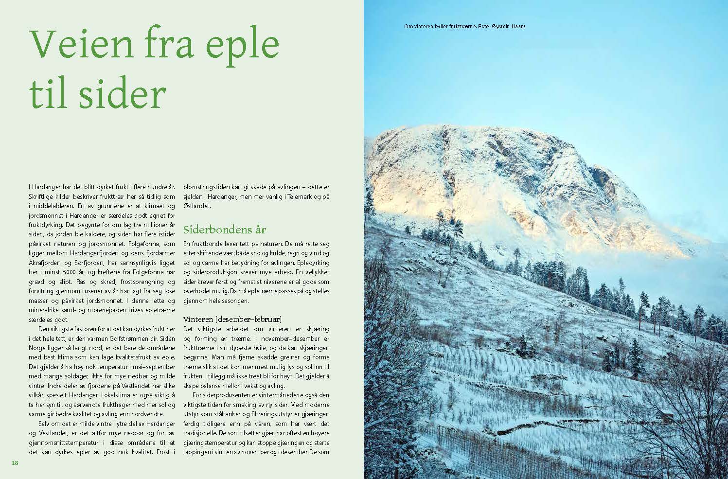 Hardangersider