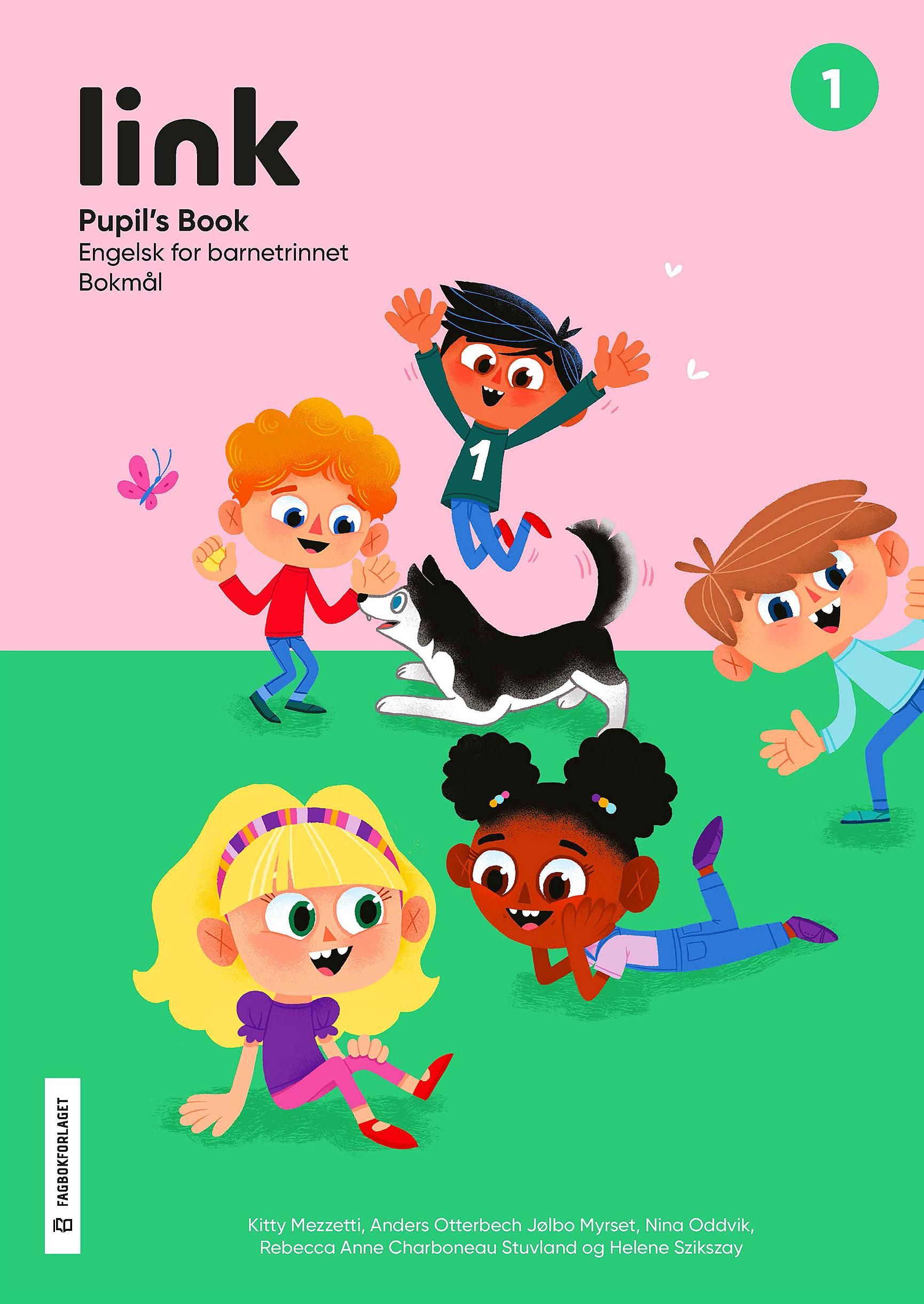 Link 1 - Pupil's book