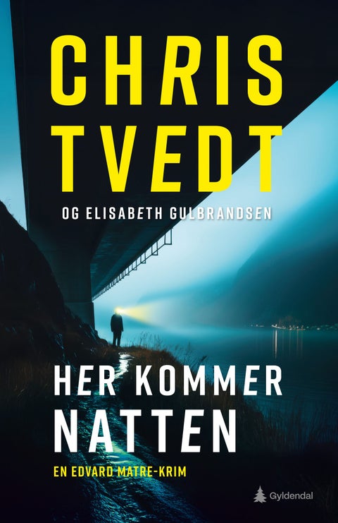 Her kommer natten - kriminalroman