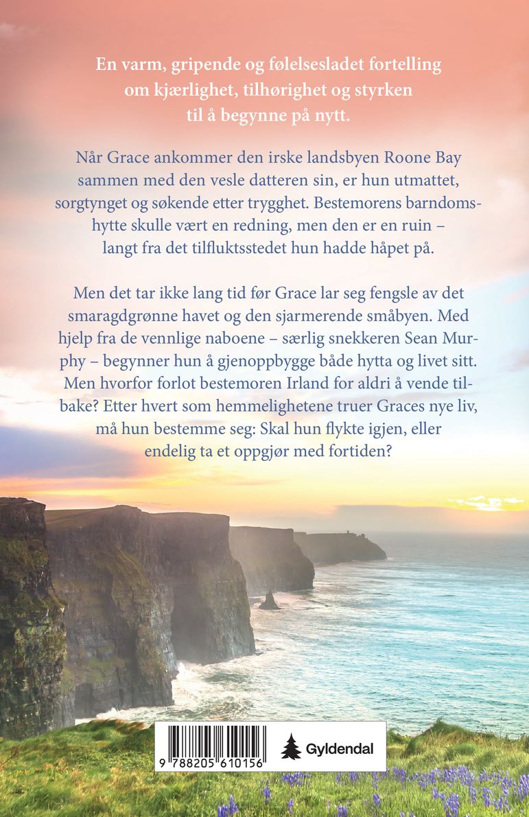 Den irske nøkkelen