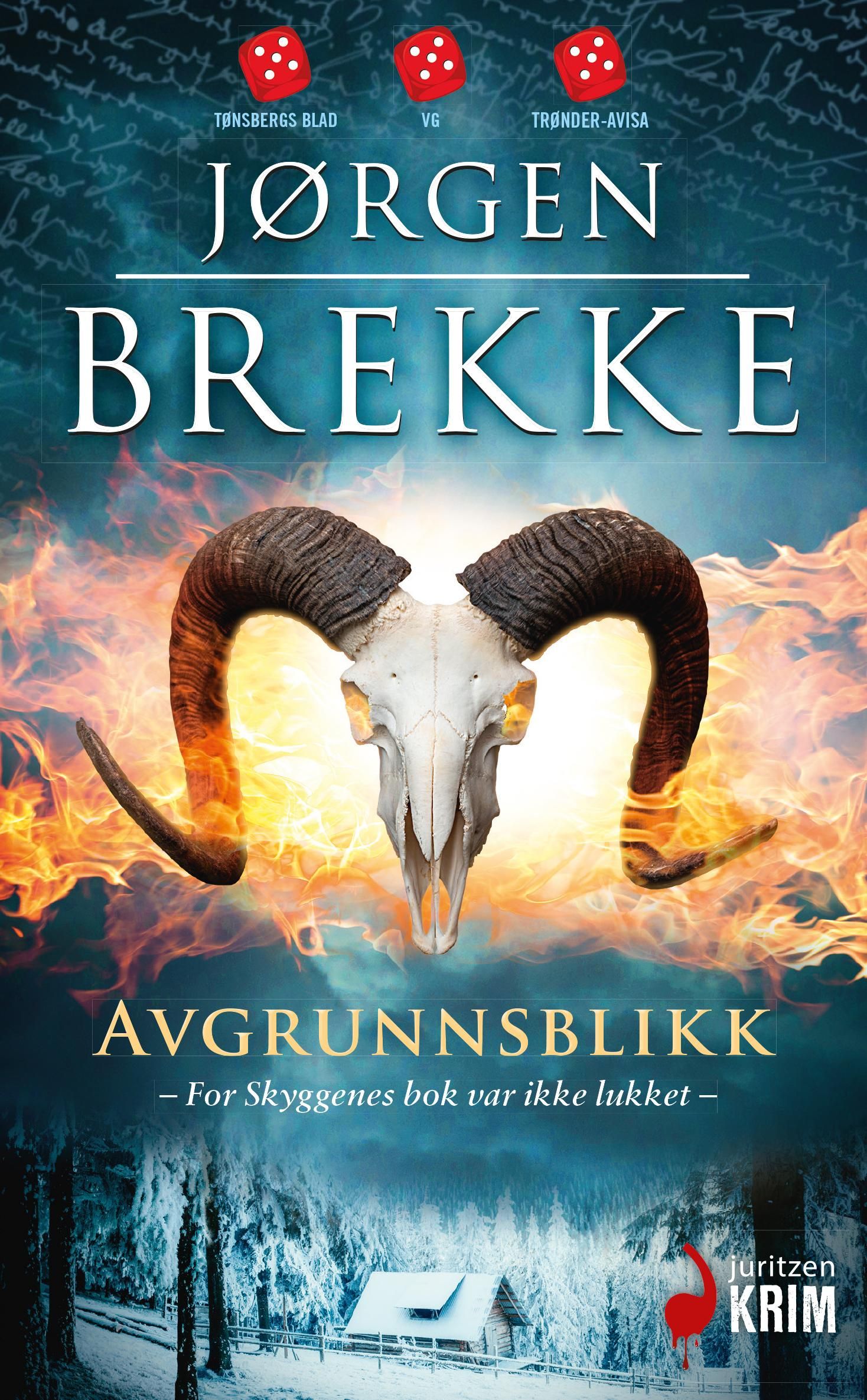Avgrunnsblikk - kriminalroman