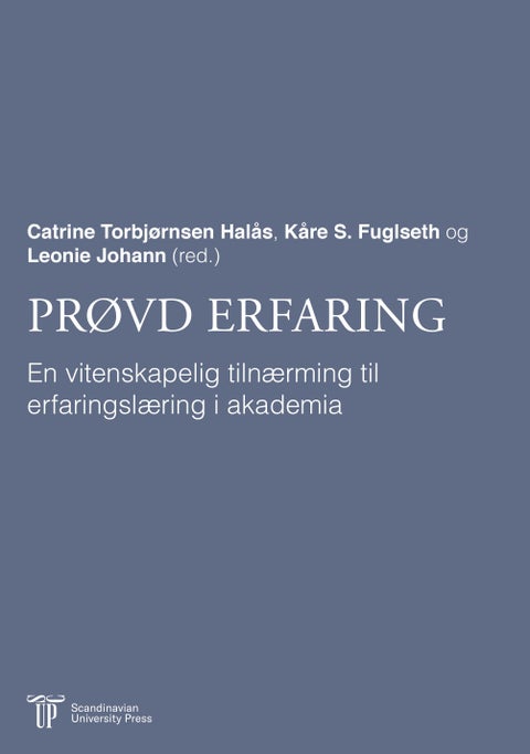 Prøvd erfaring - en vitenskapelig tilnærming til erfaringslæring i akademia
