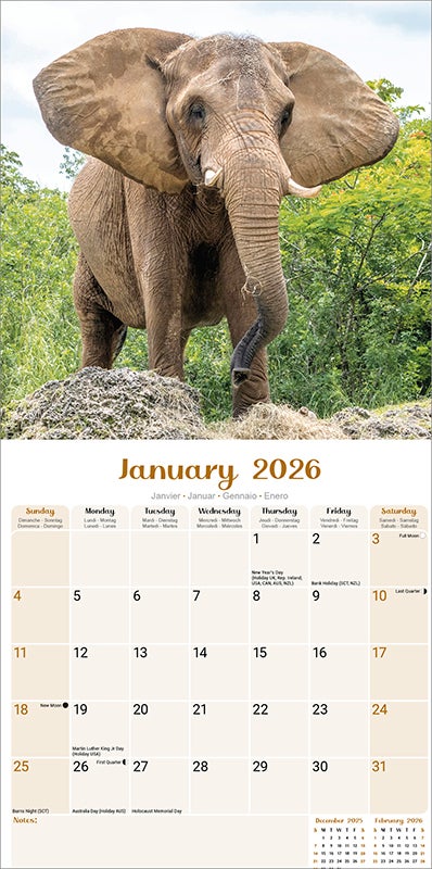Kalender 2026 30x30 Elephants