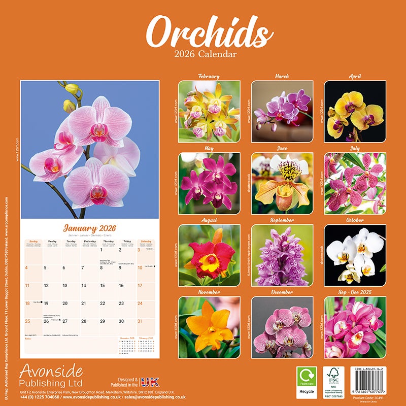 Kalender 2026 30x30 Orchids