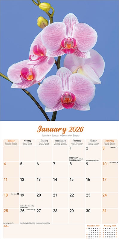 Kalender 2026 30x30 Orchids