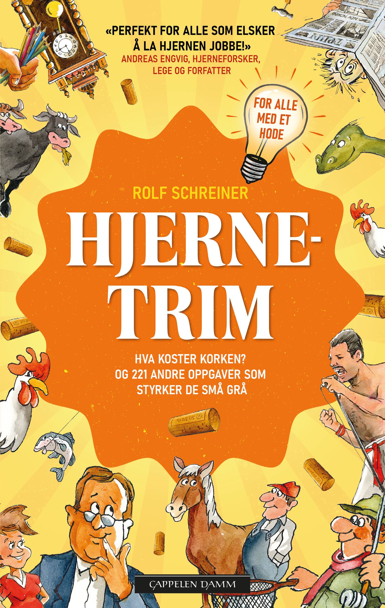 Hjernetrim - hva koster korken? : og 221 andre spørsmål som får fart på de små grå